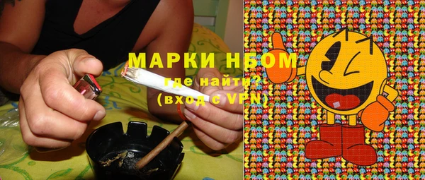 дживик Аркадак