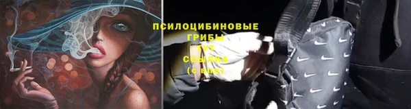 дживик Аркадак