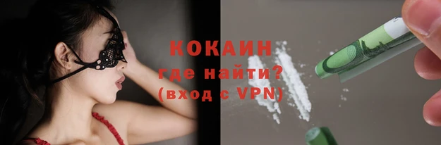 дживик Аркадак