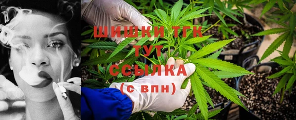 дживик Аркадак