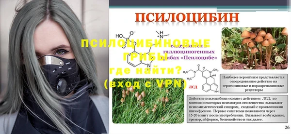 дживик Аркадак