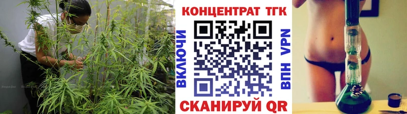 ТГК Wax  Светогорск 