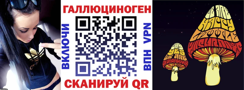 как найти   Светогорск  Псилоцибиновые грибы MAGIC MUSHROOMS 